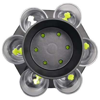 6-Shot Dispenser: Pour Everyone at Once